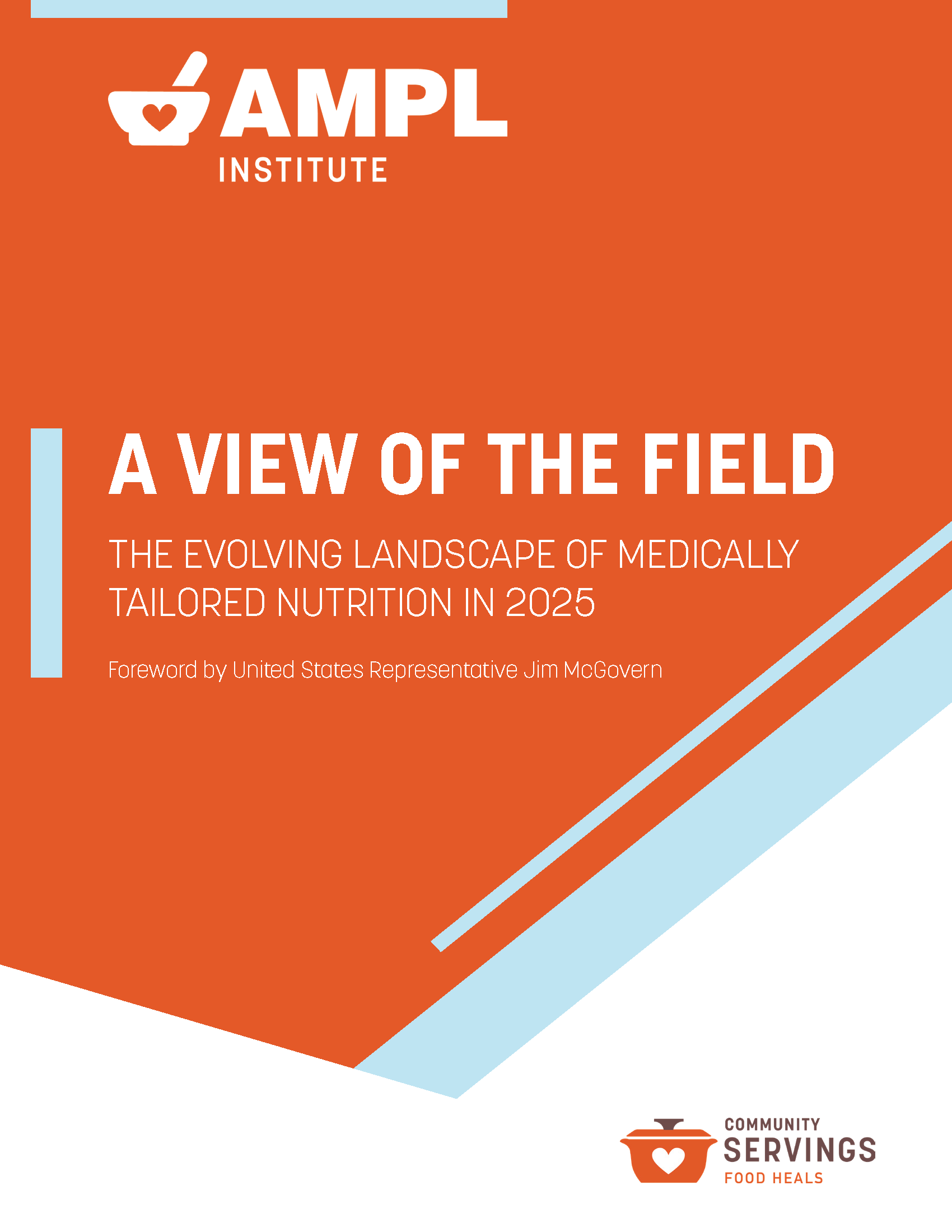 Cover of AMPL's View of the Field report